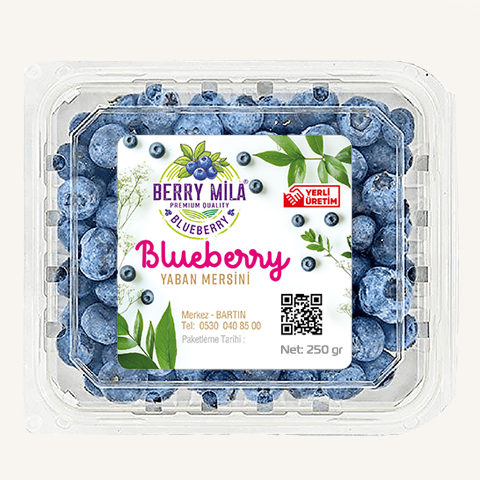 250 gr Yaban Mersini